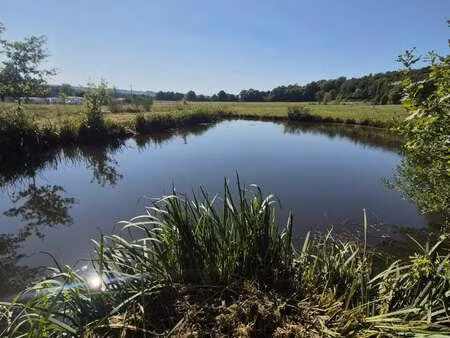 vente terrain à ferrières-en-bray (76220) : à vendre / 5316m² ferrières-en-bray