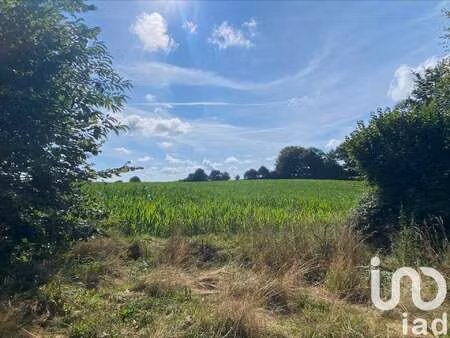 vente terrain à guiscriff (56560) : à vendre / 40080m² guiscriff