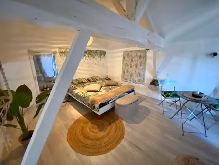 2 appartements duplex t3 de 71m2 et 55m2 totalement rénovés (dont un avec terrasse) à vend