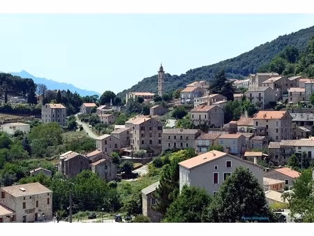 dpt corse (20)  à vendre levie terrain