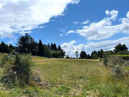 achat terrain 1 030m² violay 42780