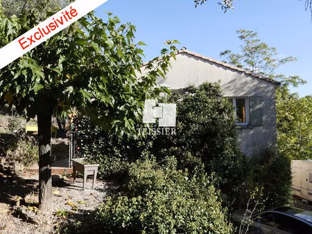 vente maison 4 pièces 125 m² les vans (07140)