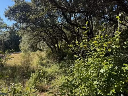 achat terrain 854m² ste anastasie sur issole 83136