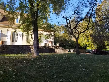vente maison 9 pièces 300 m² viviez (12110)