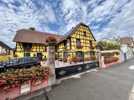 ensemble immobilier  4 appartements  gîte  390m2  terrain 7 24a  andolsheim