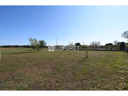 terrain près de lisle sur tarn à vendre