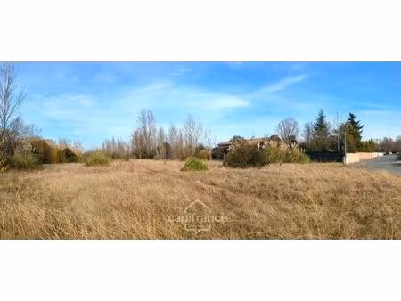 vente terrain 6000 m² roques (31120)