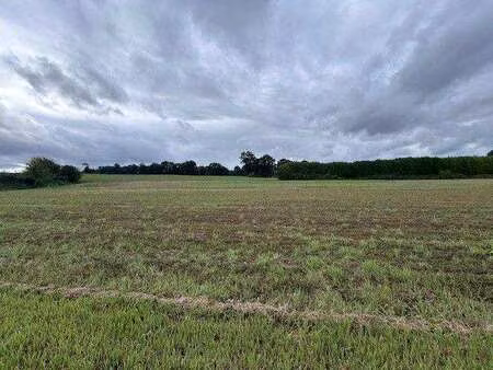 vente terrain à plouasne (22830) : à vendre / 473m² plouasne