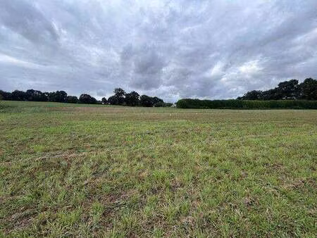 vente terrain à plouasne (22830) : à vendre / 505m² plouasne