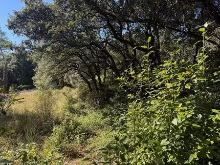 terrain à bâtir de 854m²