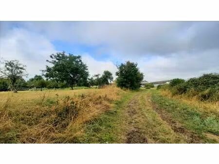 vente terrain 77501 m² luçay-le-mâle (36360)