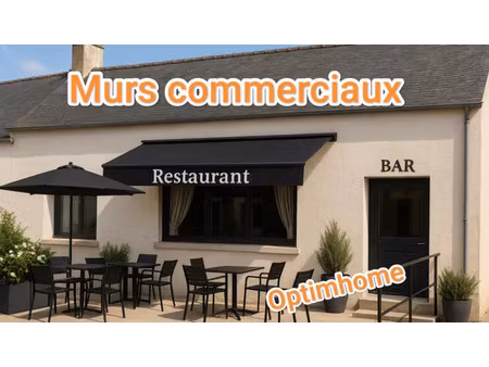 vente commerce 5 pièces 250 m² questembert (56230)