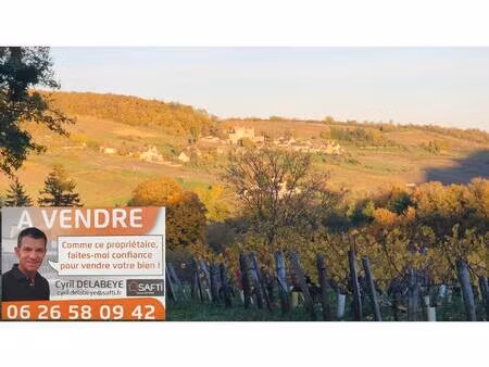 vente maison 9 pièces 370 m² jambles (71640)