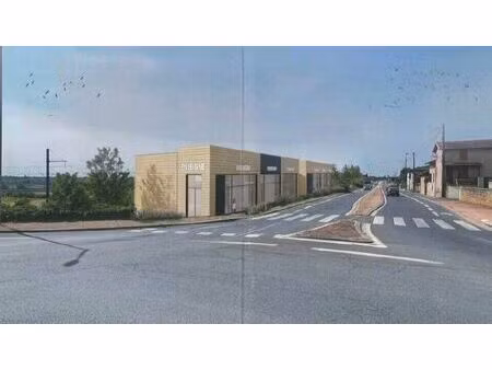 location commerce 581 m² à limas (69400)
