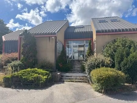 vente/location local d'activités linas 498 m²