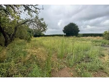 terrain constructible à vendre