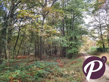 vente terrain 151213 m² à bergerac (24100)  78 800 €