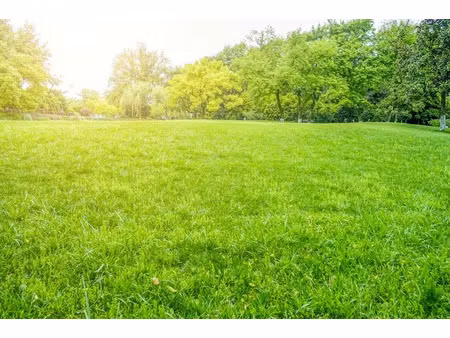 vente terrain 1050 m² à mozé-sur-louet (49610)  105 000 €