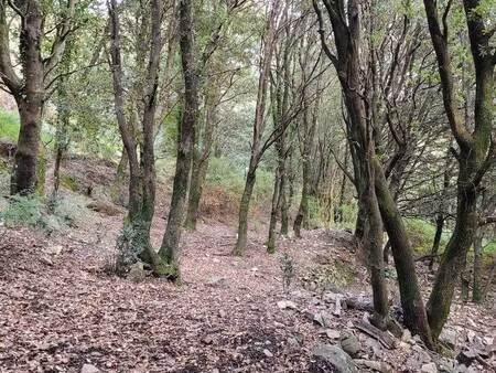 terrain constructible à vendre - neuf