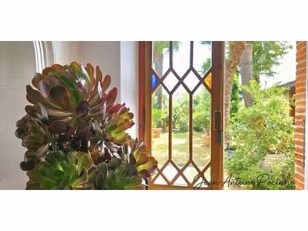 maison avec terrasse saint thomas (31)