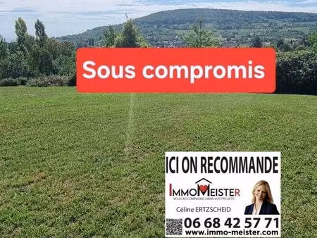 magnifique terrain constructible d’environ 10 ares rosheim