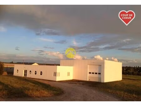 vente maison 5 pièces 500 m² villefranche-d’allier (03430)