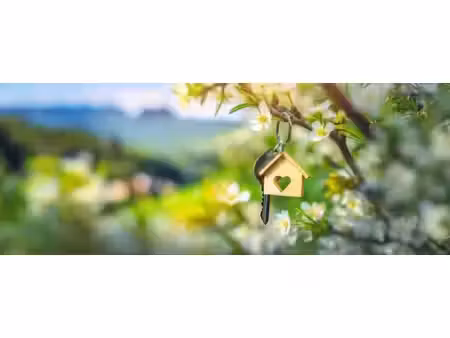 terrain à vendre vire 650m2 59 900€