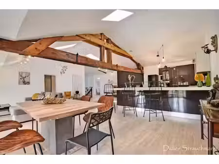 dpt charente maritime (17)  à vendre saint savinien immeuble