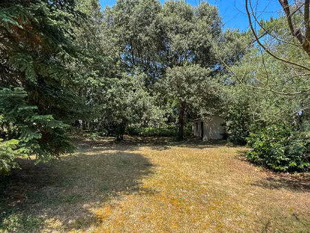 vente terrain 1500 m² saint-palais-sur-mer (17420)