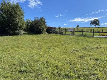 vente terrain 1061 m² à le haut soultzbach (68780)  130 000 €