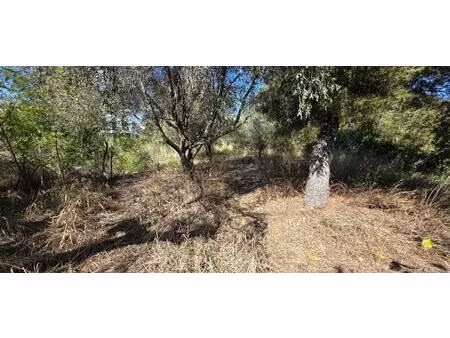 achat terrain 640m² frontignan 34110