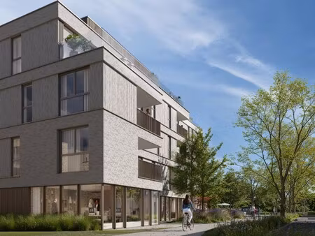 commercieel te koop in avelgem