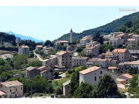 terrain 5 784 m² levie