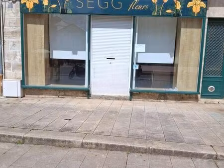 local d'activités cusset