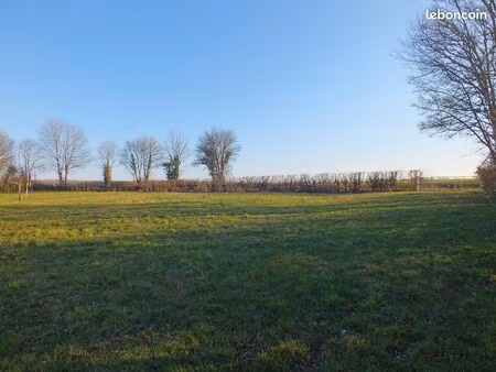 terrain 5 990 m² musigny