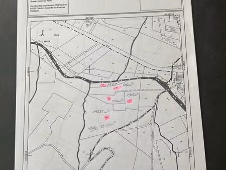 parcelles boisée uniquement de pins