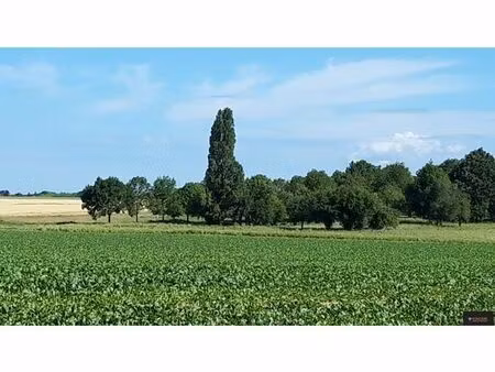 terrain 517 m² boullay les troux