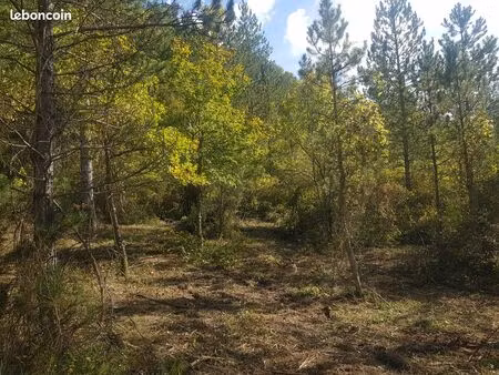 maison 1 pièce 5 m²