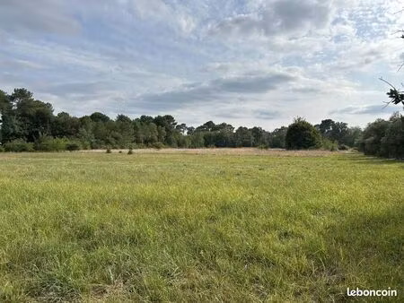 terrain 1497 m² bazas