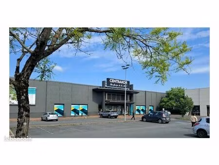 local commercial 1837 m² saint-maur