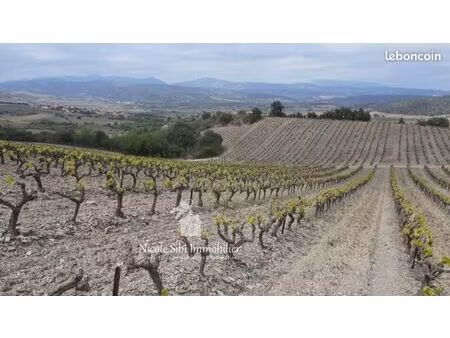 terrain agricole 17 200 m² montner