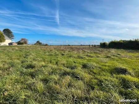 joli terrain plat  2500m2  libre de constructeur