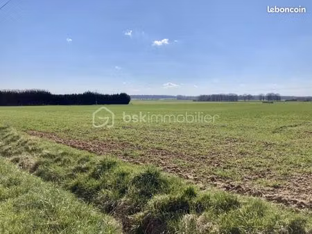 terrain 600 m² giffaumont champaubert