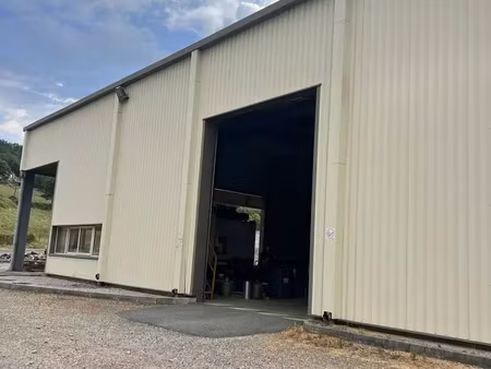 local d'activité roche la molière