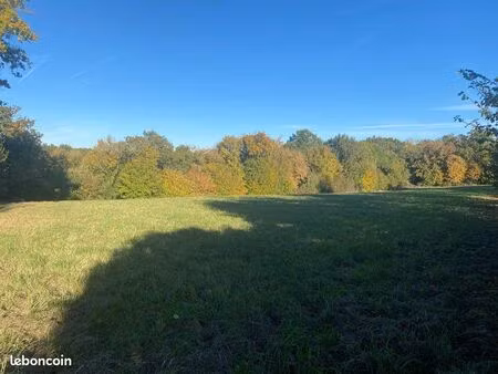 terrain constructible