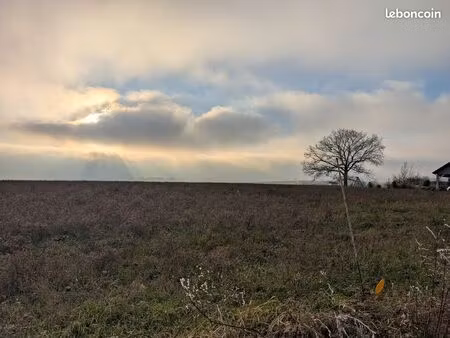 terrain 1231 m² mons