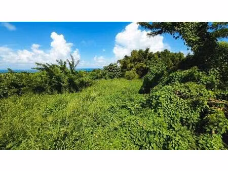 terrain constructible viabilisé à vendre