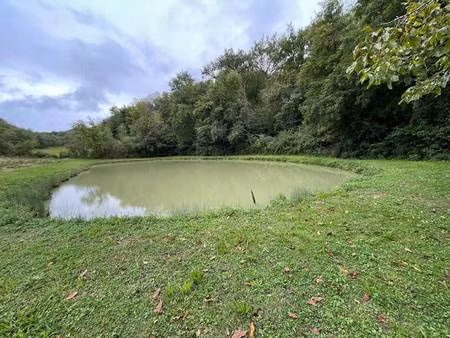 terrain champêtre/forestier à vendre