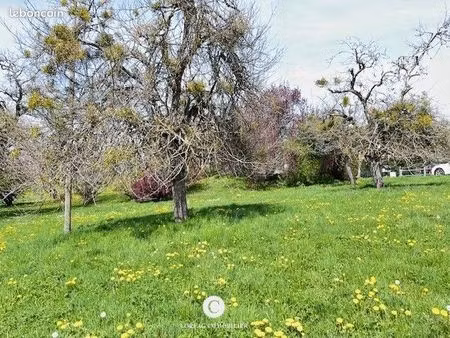 terrain 549 m² bogeve