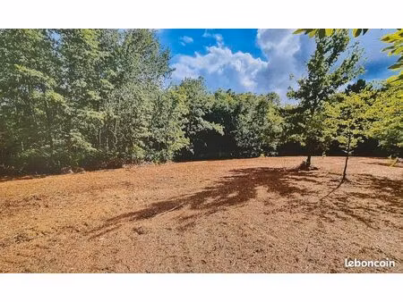 terrain constructible